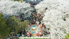 探索疑团,畅享交流——真实摩托锦标赛无限金币版问答平台