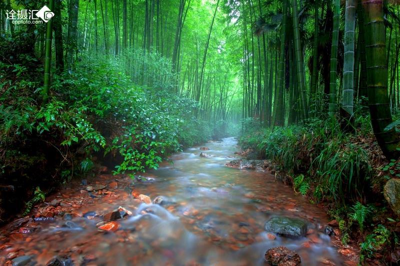 雷竞技比分