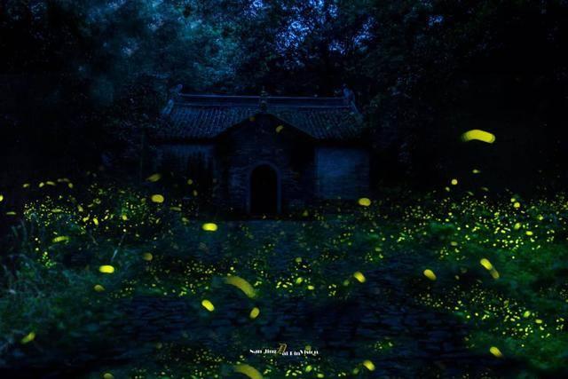 创作猫