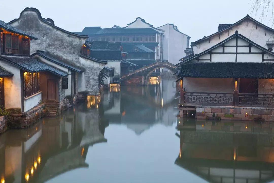 动物帮帮忙保卫家园